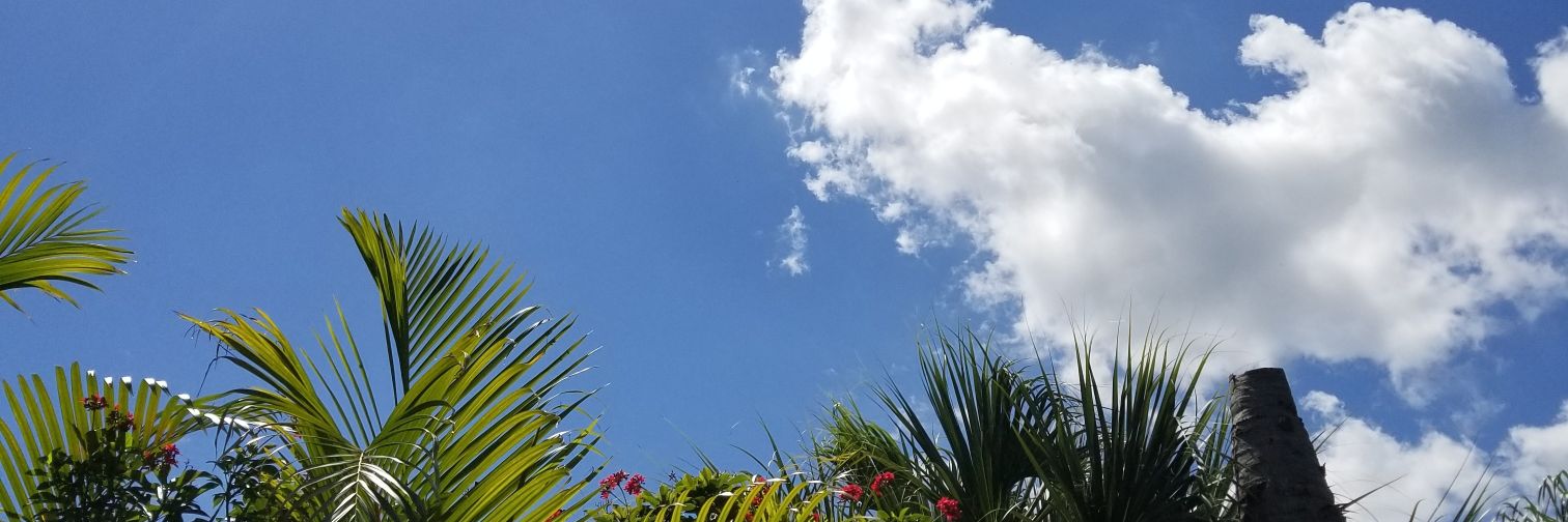 jae_j0's profile banner image