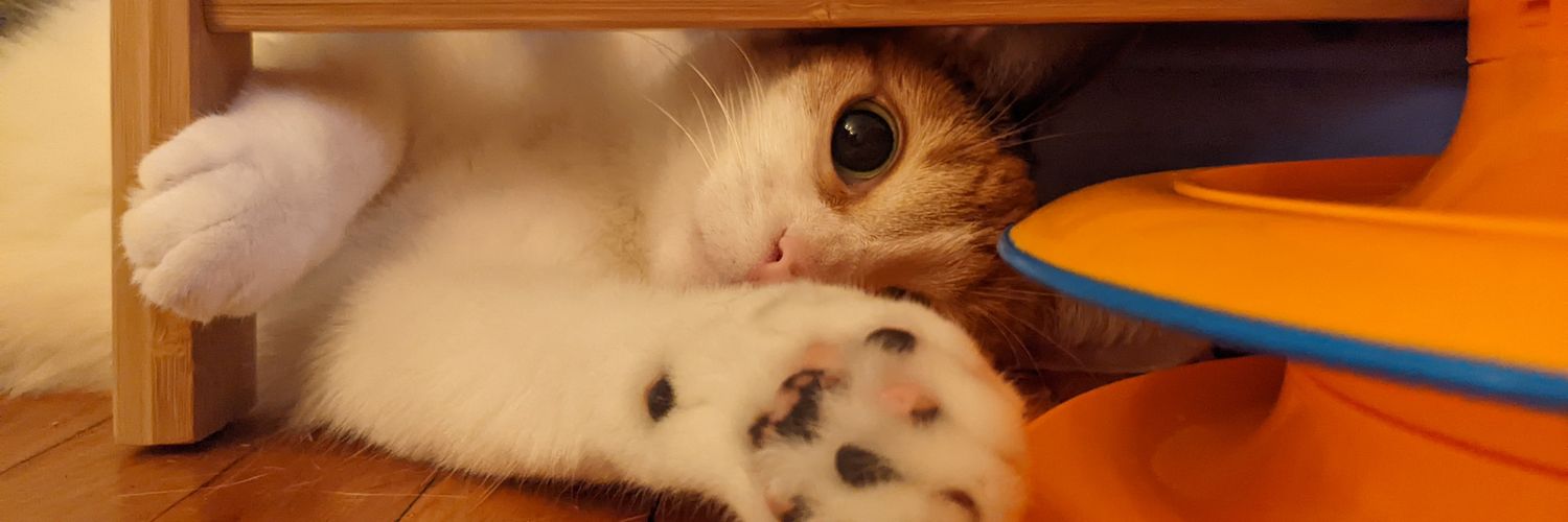 briefkase27's profile banner image