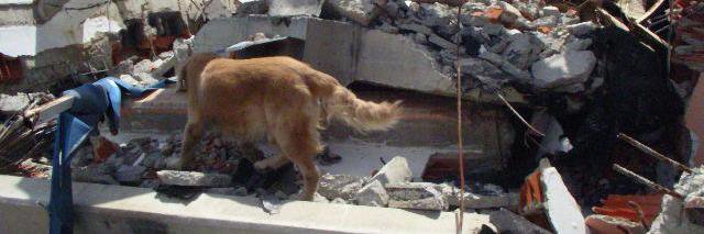 rat160472's profile banner image