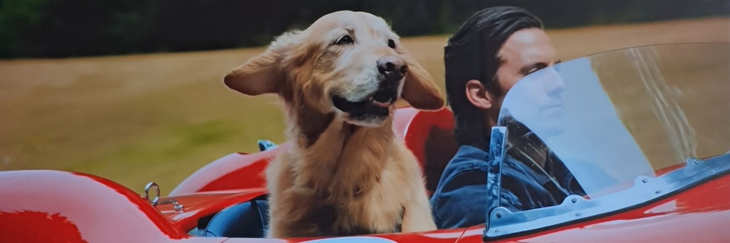 Alacranocampo's profile banner image