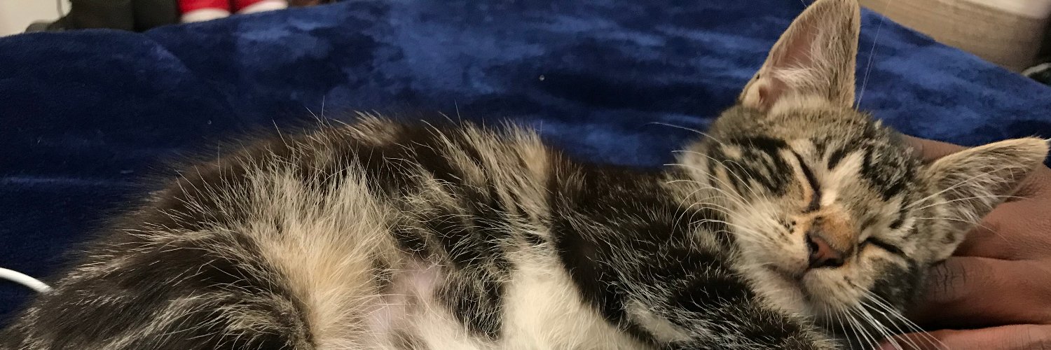 LEENDARRHOOHOO's profile banner image