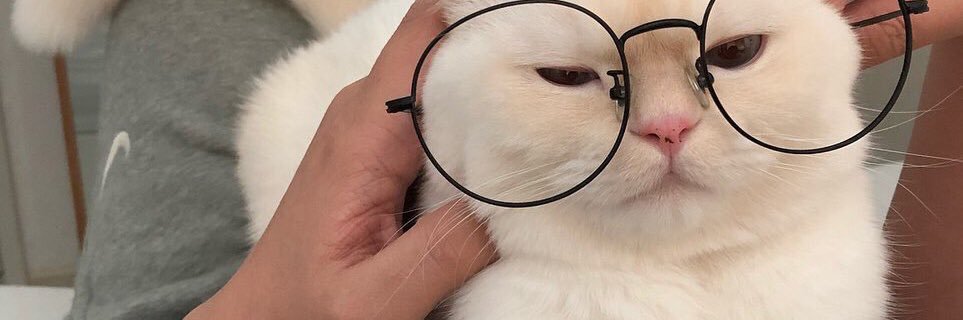 everythinggonnabeok🍀 banner