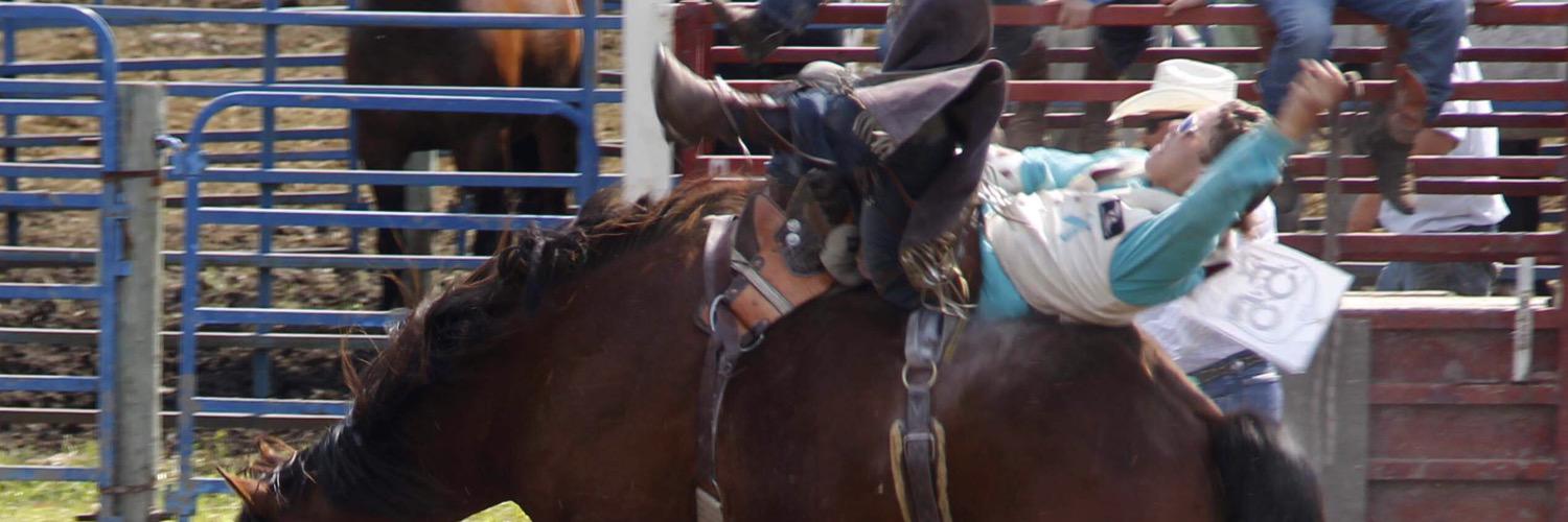 BullRider1080's profile banner image