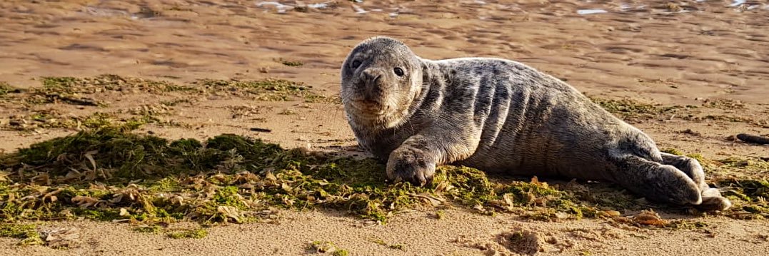 Alex Masterman banner
