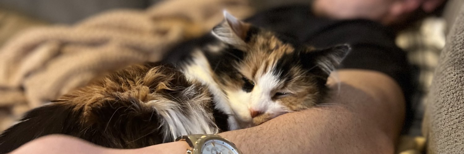 KenziZee's profile banner image