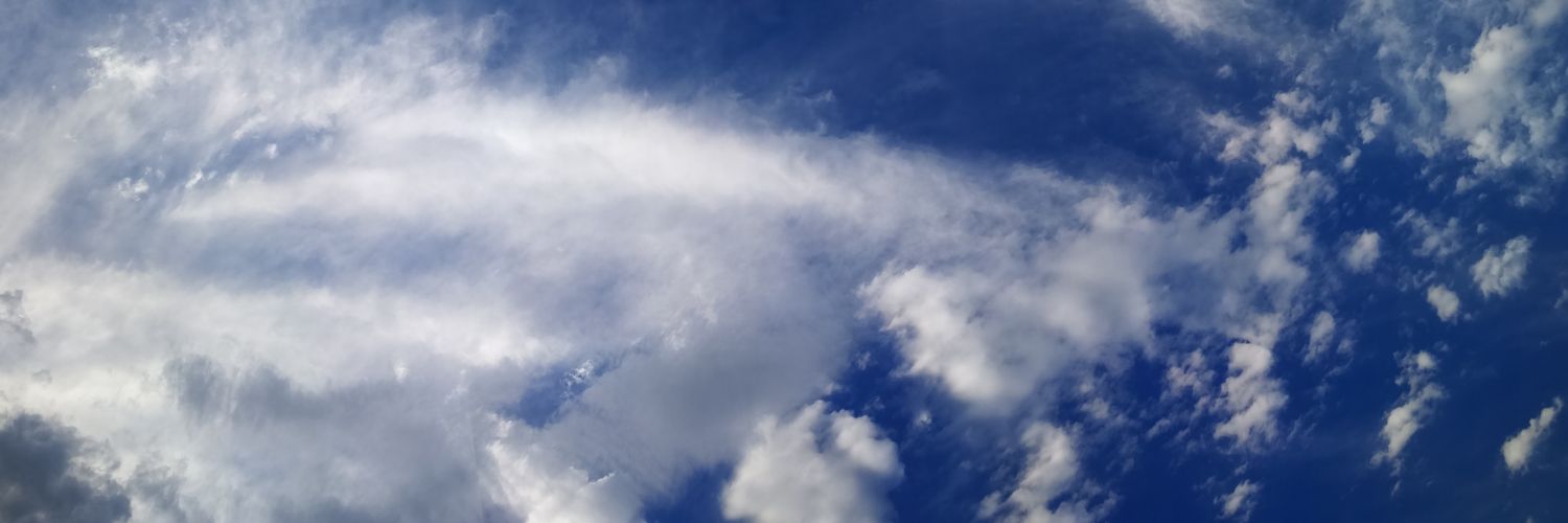 sammythies's profile banner image