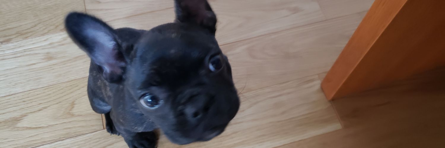 akindo3's profile banner image