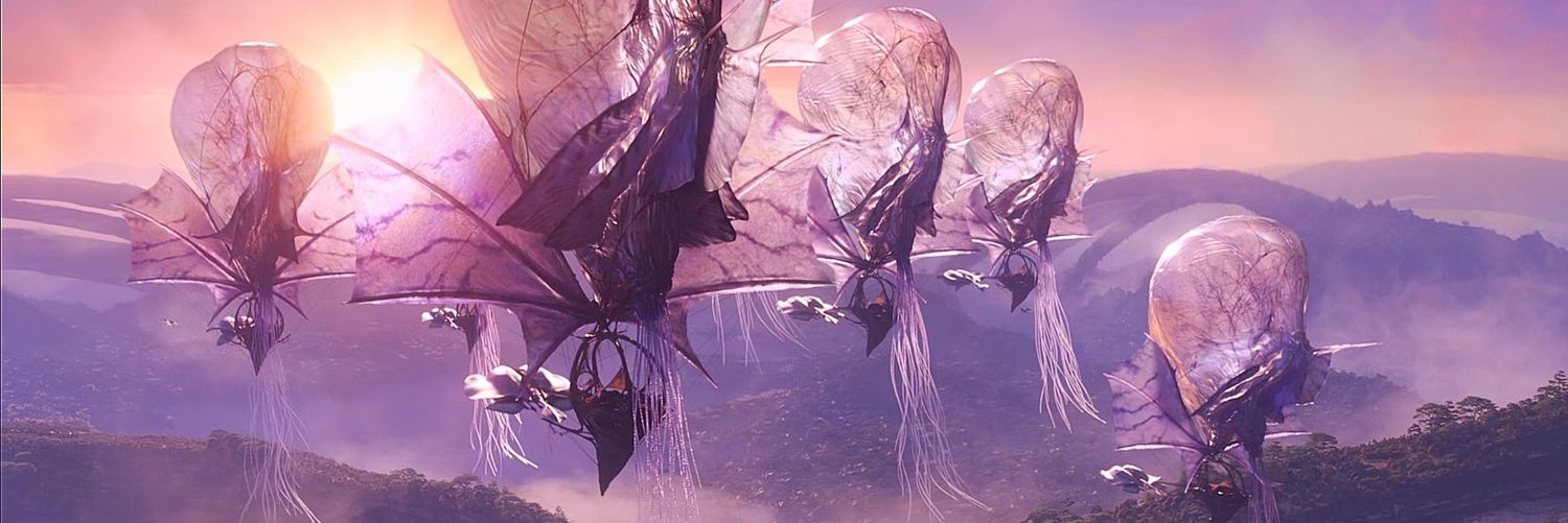 Kamdora's banner