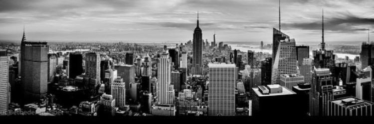 mcphee3202's profile banner image