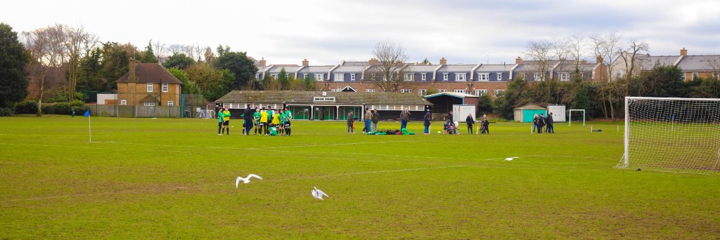 Roehampton Playing Fields Community Trust banner
