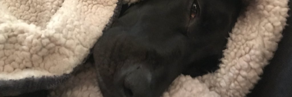 Madison Baker banner