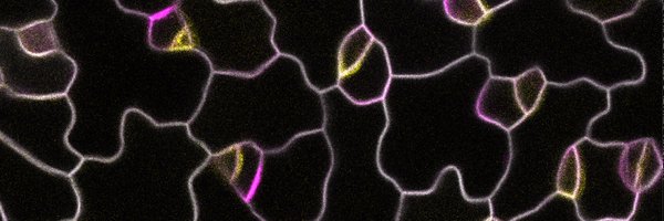ES_Wallner Profile Banner