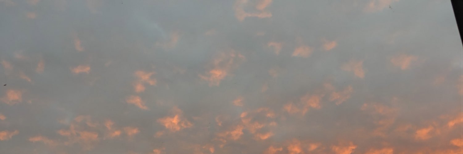 Kami banner