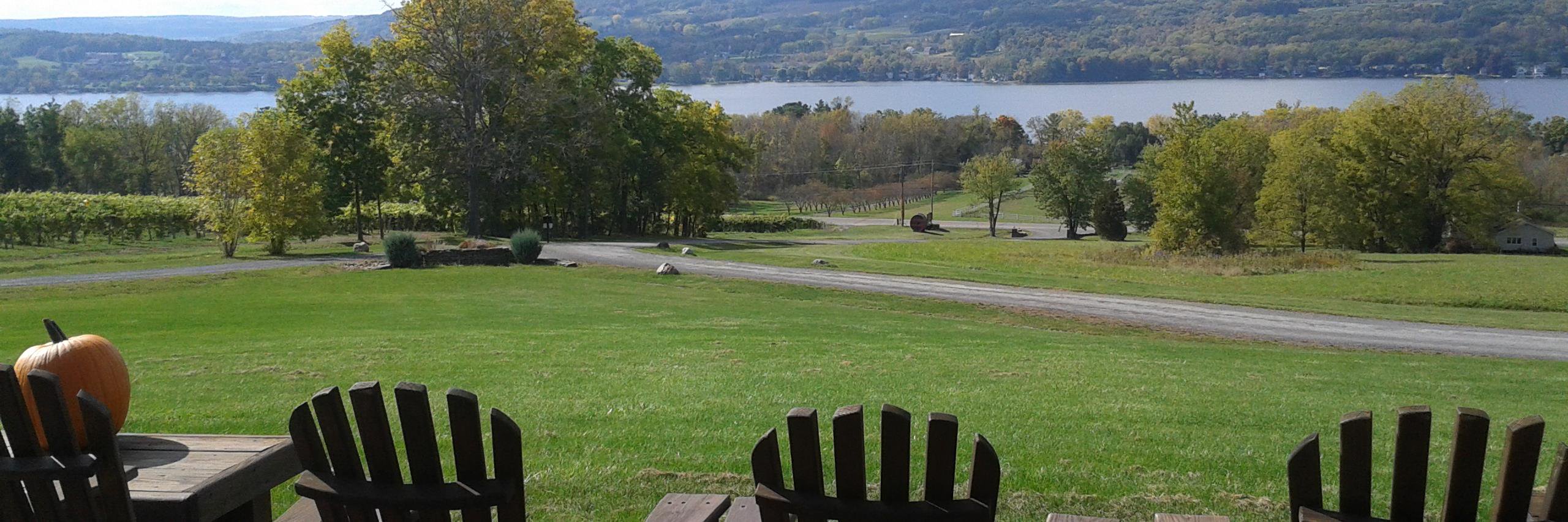 Finger Lakes Wine banner