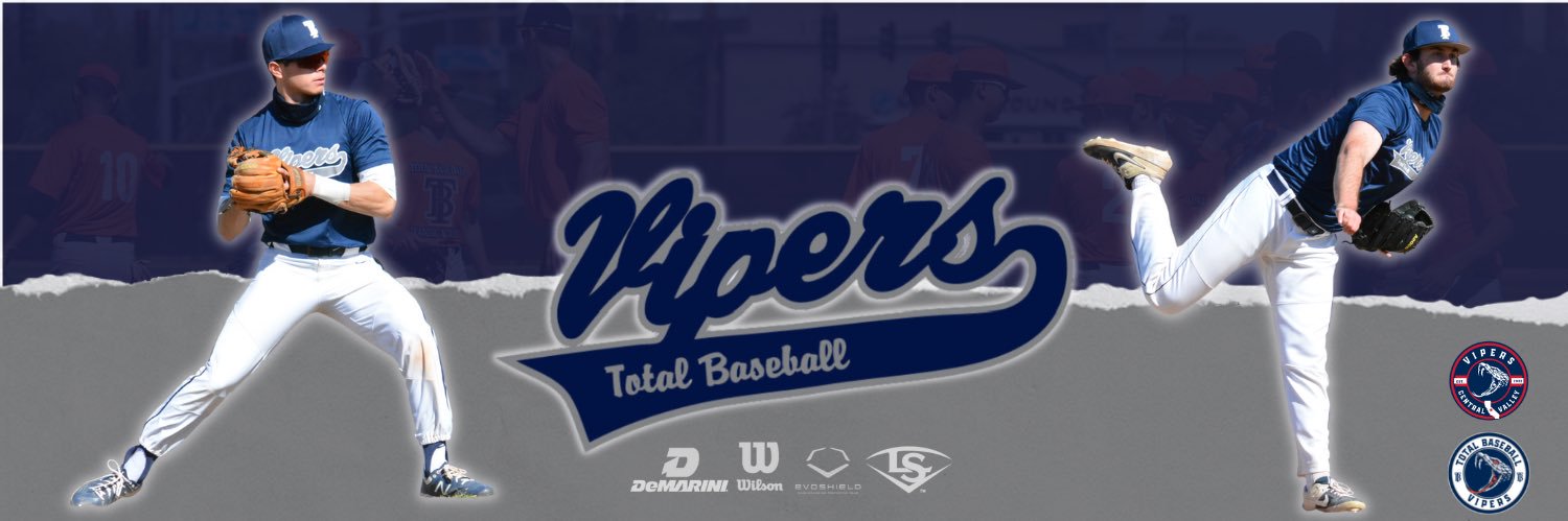 Total Baseball Vipers banner