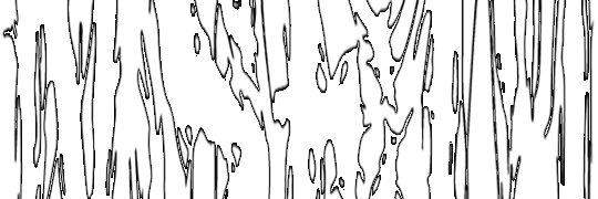 insect4 banner