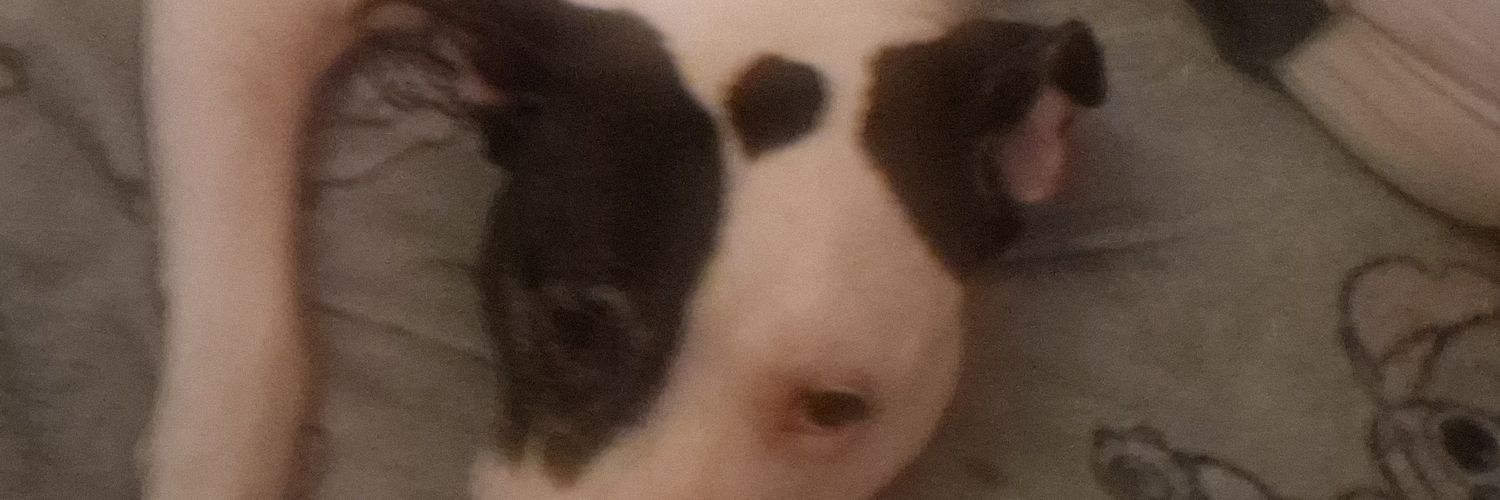 Jordan @DreamHack Birmingham banner