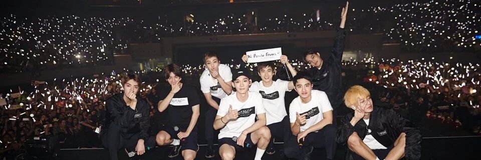 tinkerbellofKAI's profile banner image