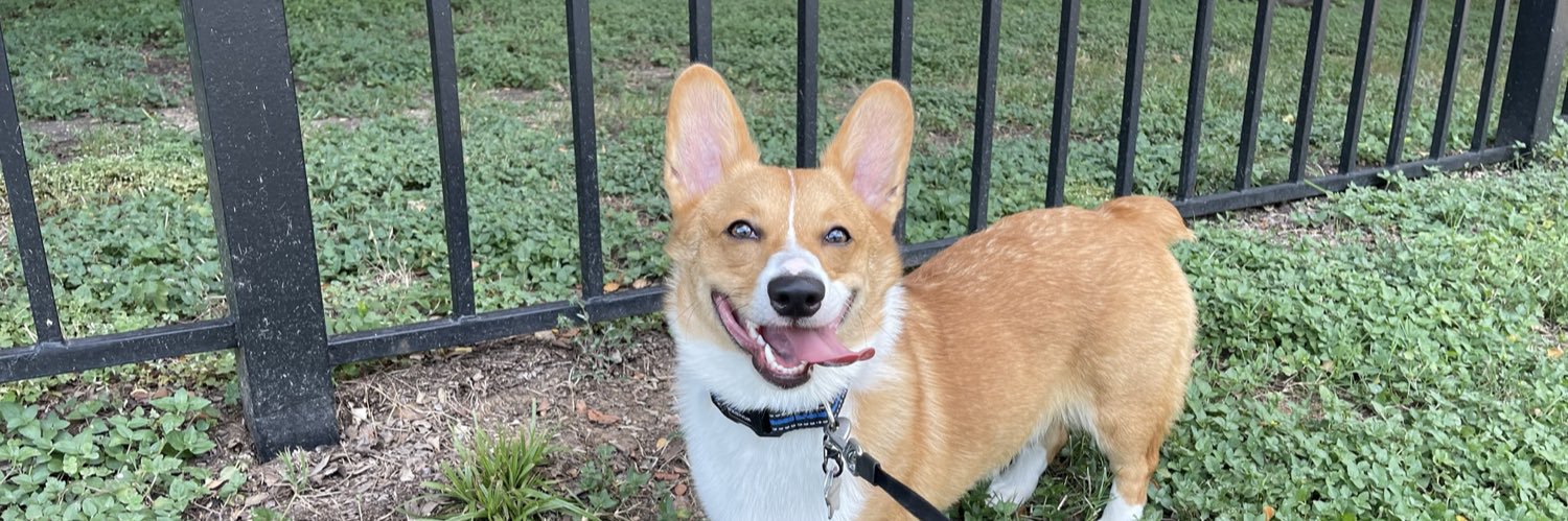 OhHeyItsSaarah's profile banner image