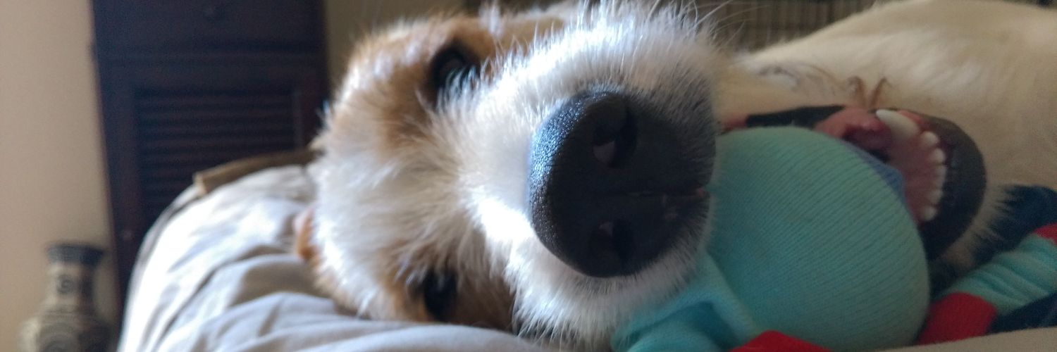 SasseroleStJohn's profile banner image