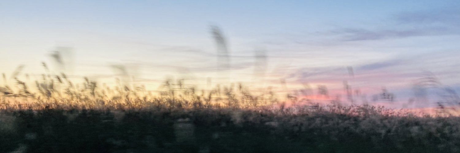 Sight50Sky's profile banner image