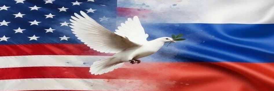 Katya Vladimirovna banner