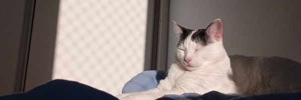 Dejota04_ Profile Banner