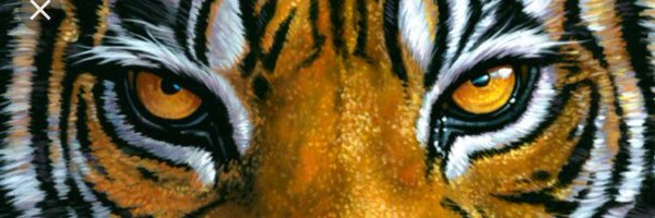 SJHSFOOTBALL2 Profile Banner