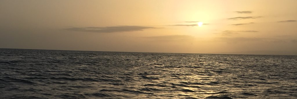 aleeisaabeel's profile banner image