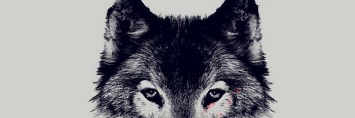 ghostoperator1's profile banner image