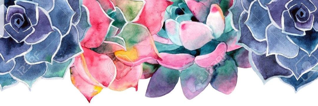 Ledb7481's profile banner image