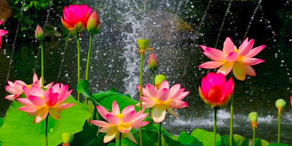 life_wellbeing's profile banner image