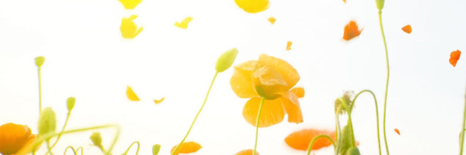 autumn_logan's profile banner image