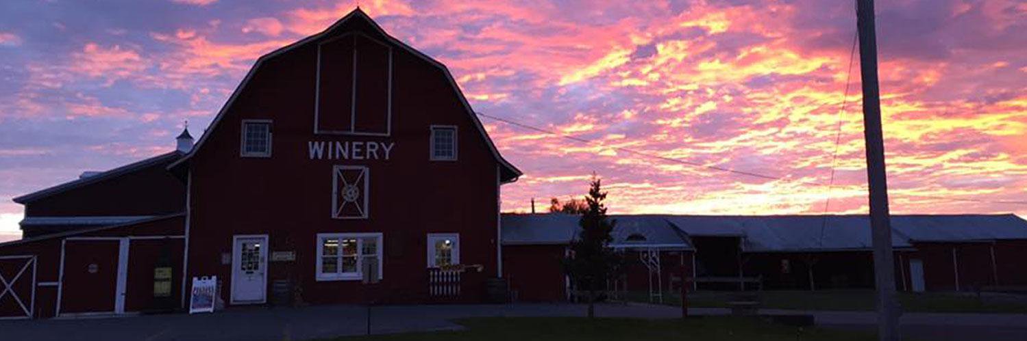 TIWinery's profile banner image