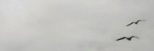 juheyda_'s profile banner image
