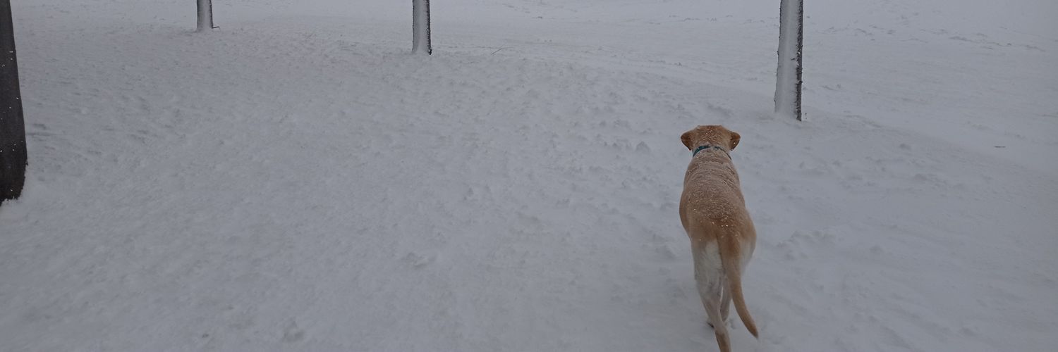 Purusam's profile banner image