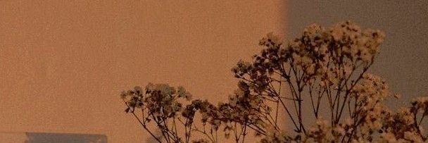 rr. banner