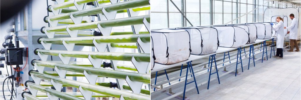 Sustainable Biomass and Chemistry banner