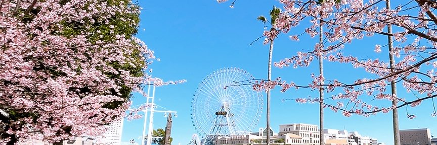 seiko00's profile banner image