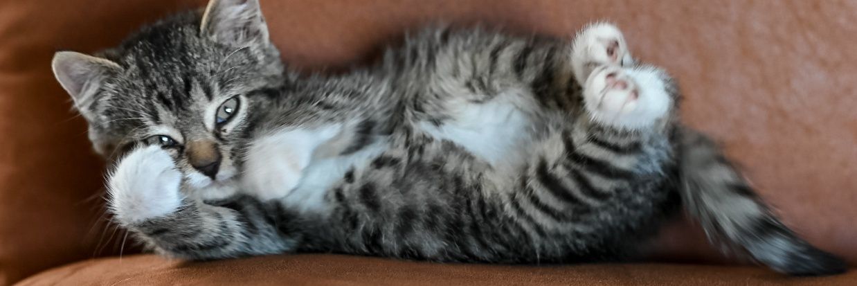 In Beeld Bij Nathalie banner