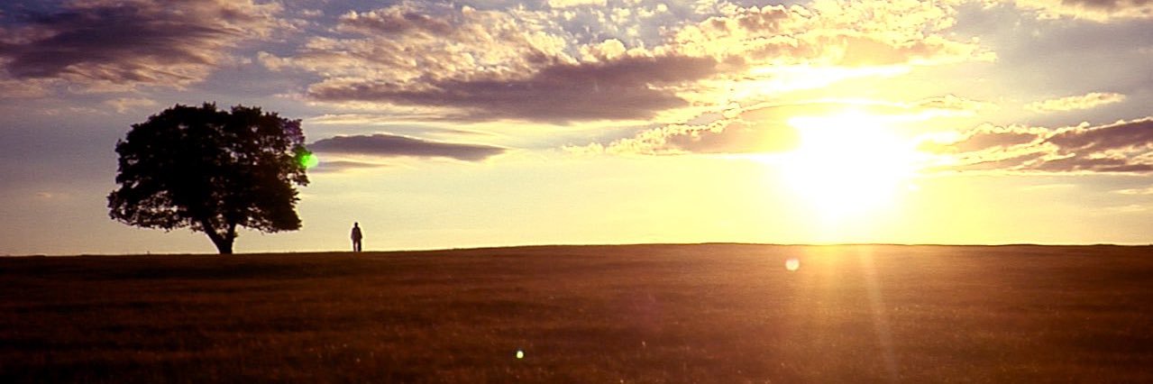 FilmWithNoName's profile banner image