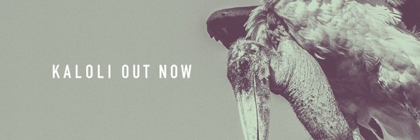 nihiloxica Profile Banner