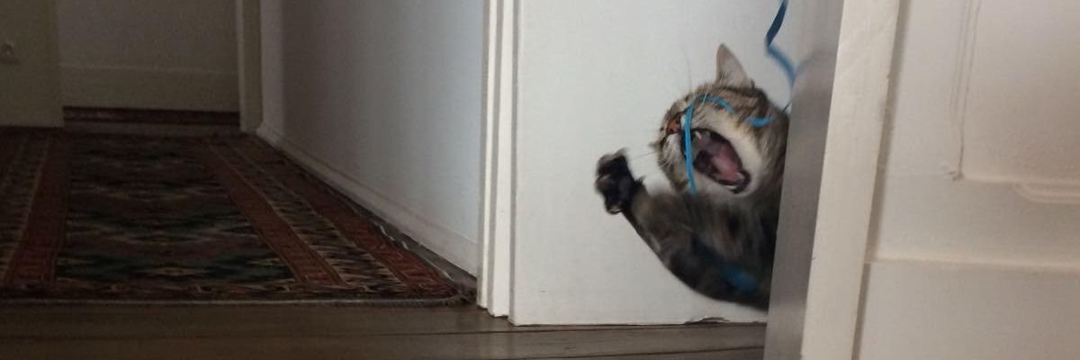 понтовый пирожок banner