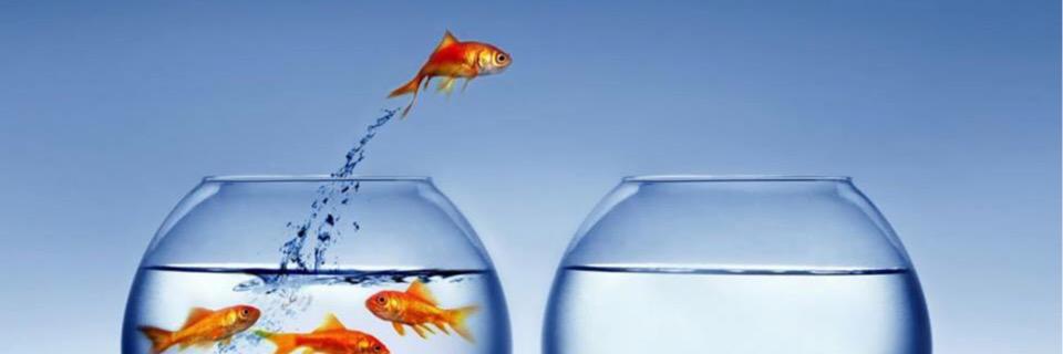 ʙɪᴅɴᴇʀᴅᴏɴᴇᴛʜᴀᴛ banner