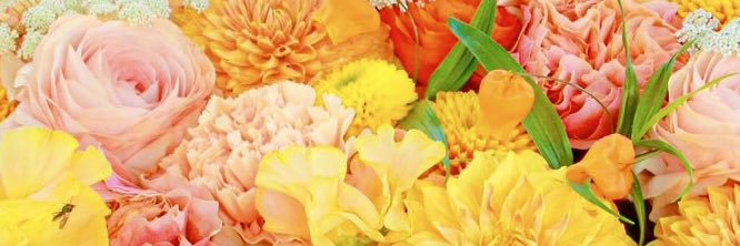 Rumi_2018's profile banner image