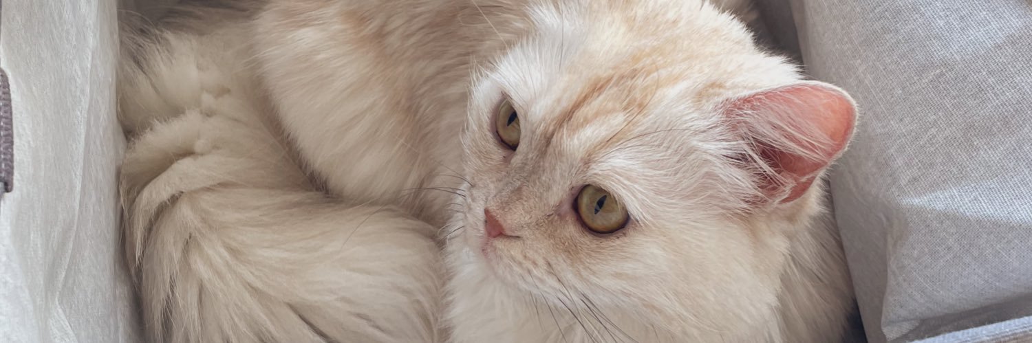 millysound's profile banner image