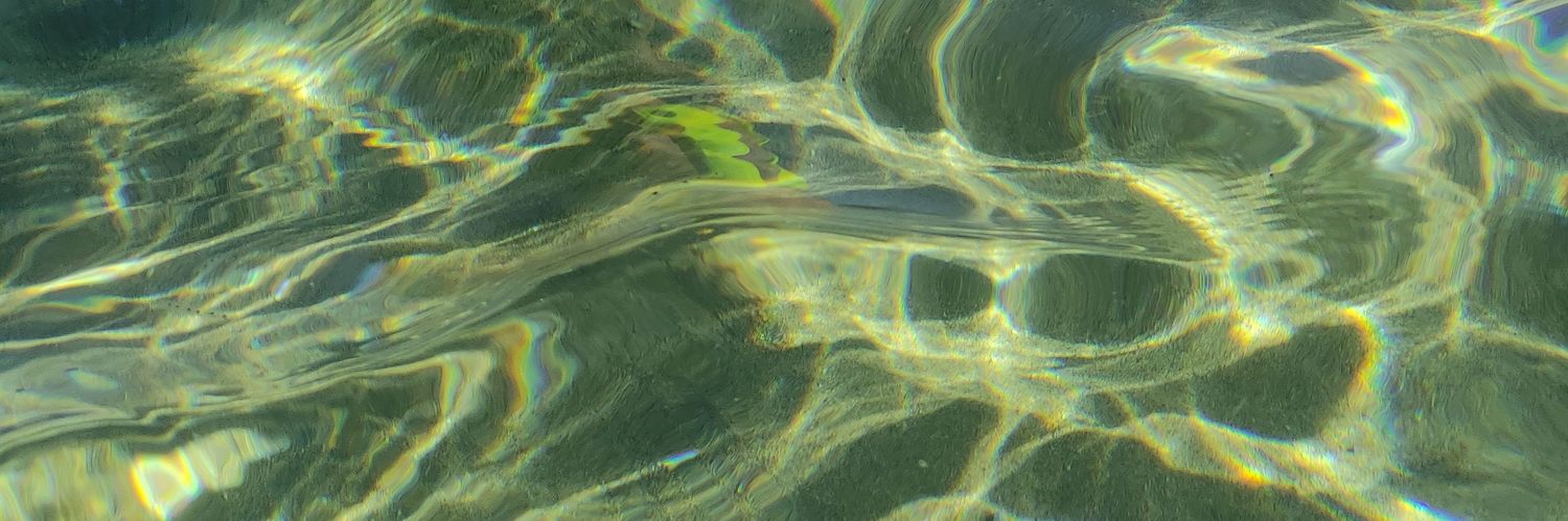 BrendaRR__'s profile banner image