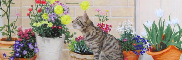 _mi_ha Profile Banner