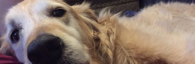 mreed_9's profile banner image
