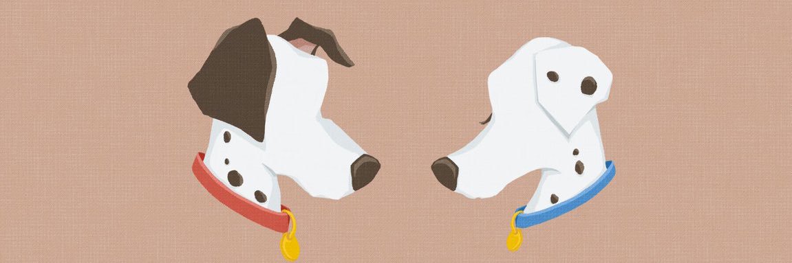 🐶🦭🐩🌹🐺 banner